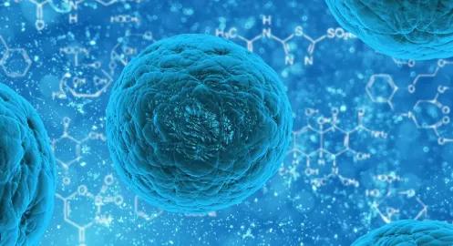 stem cell clinic Mexico